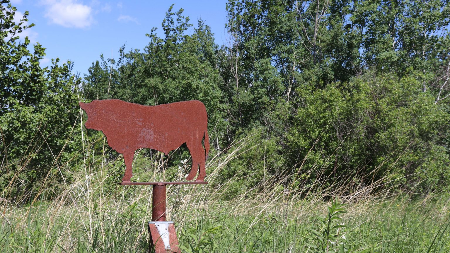 Sunrise Corner Geocaching Challenge Sunrise Corner