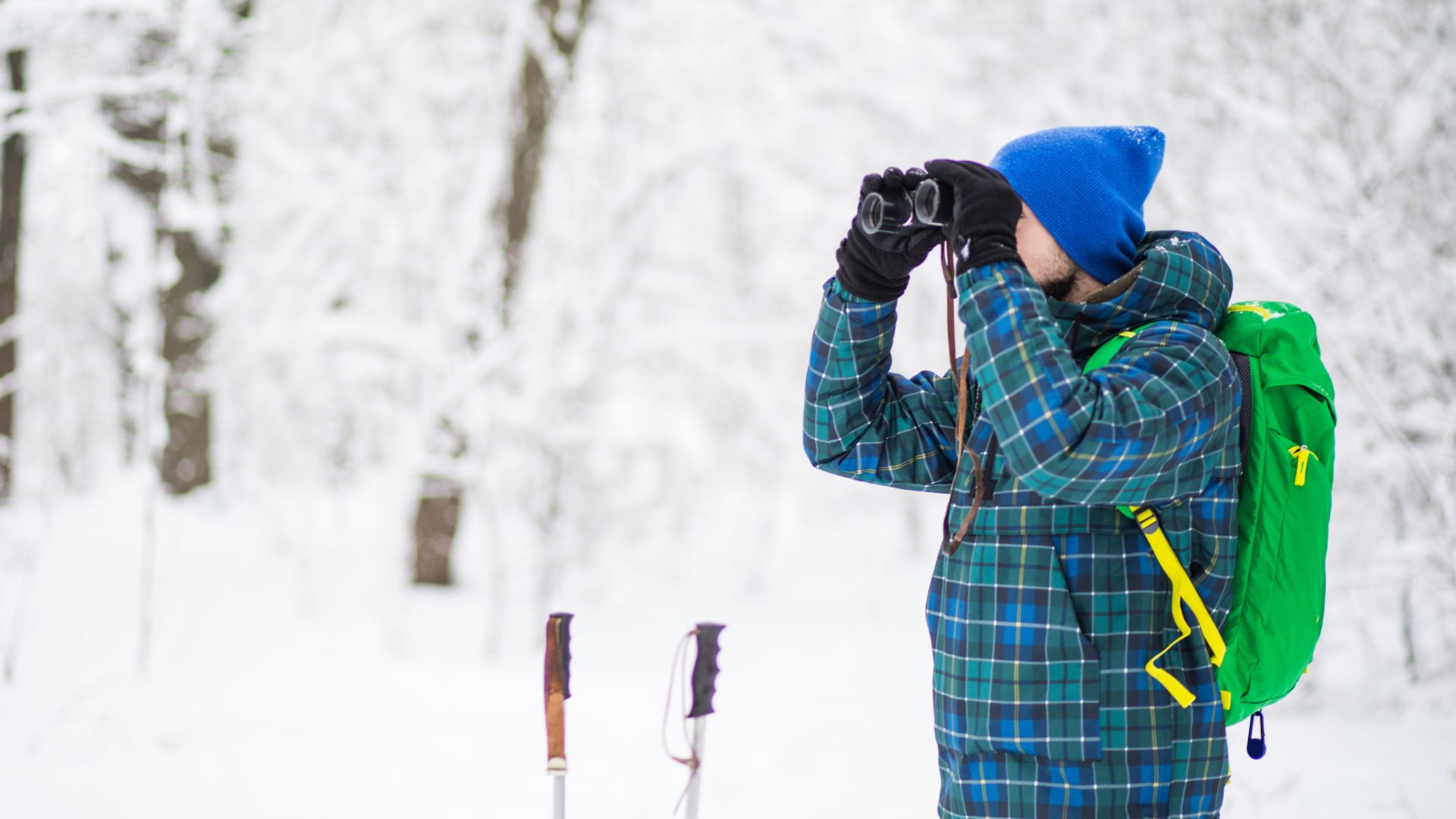 Adventures with Nature Norm - Wildlife Tracking
