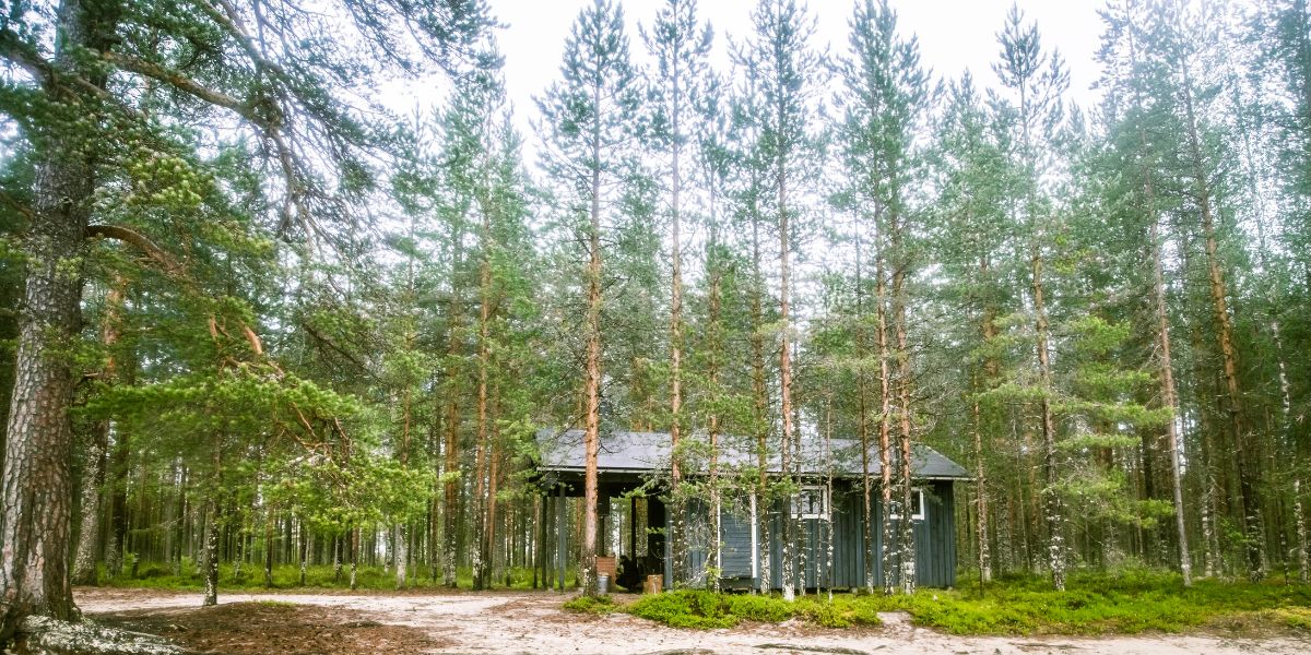 Community FireSmart™ Workshop